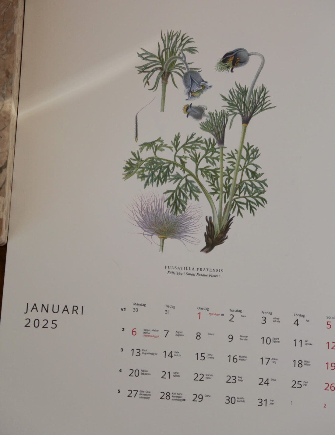 GULLERS TRADING |  VÄXTER CALENDAR 2025