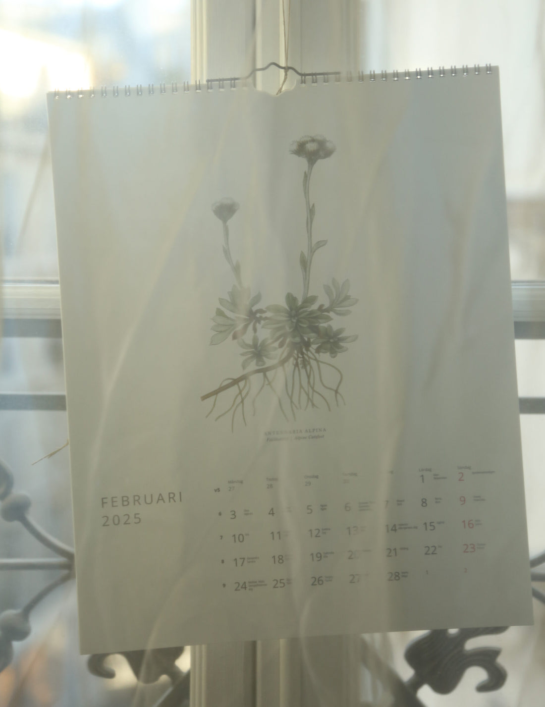 GULLERS TRADING |  VÄXTER CALENDAR 2025