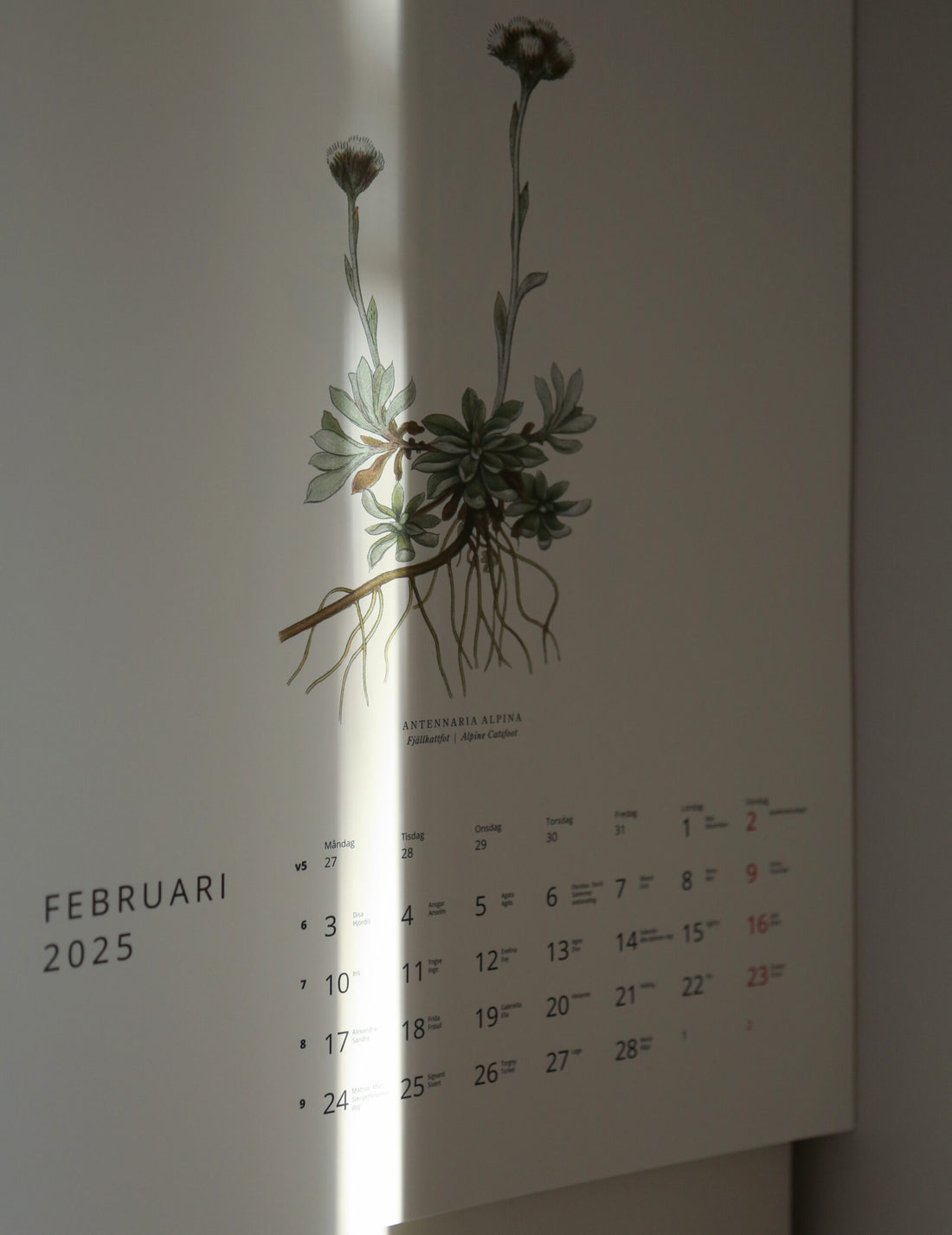 GULLERS TRADING |  VÄXTER CALENDAR 2025