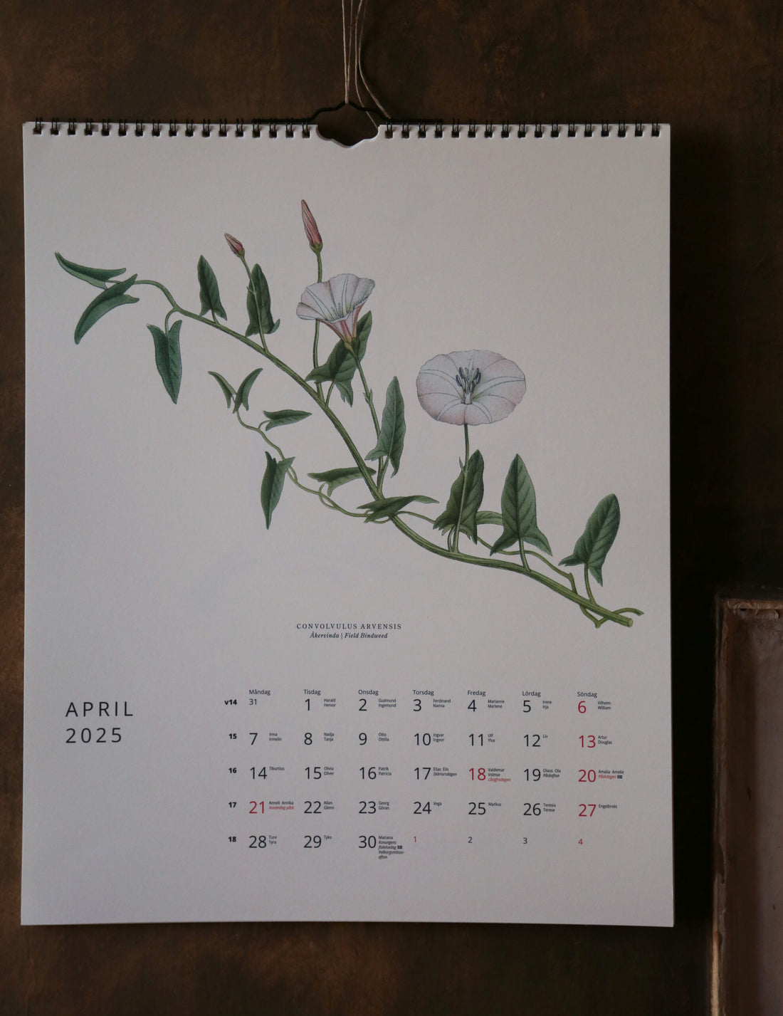 GULLERS TRADING |  VÄXTER CALENDAR 2025