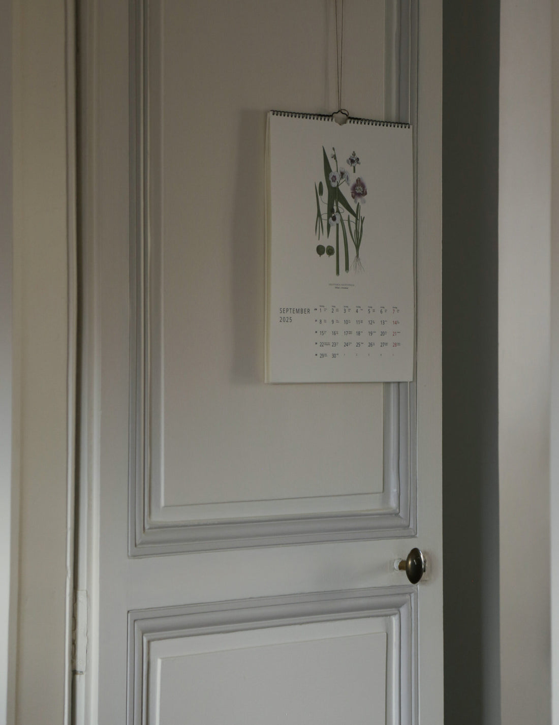 GULLERS TRADING |  VÄXTER CALENDAR 2025