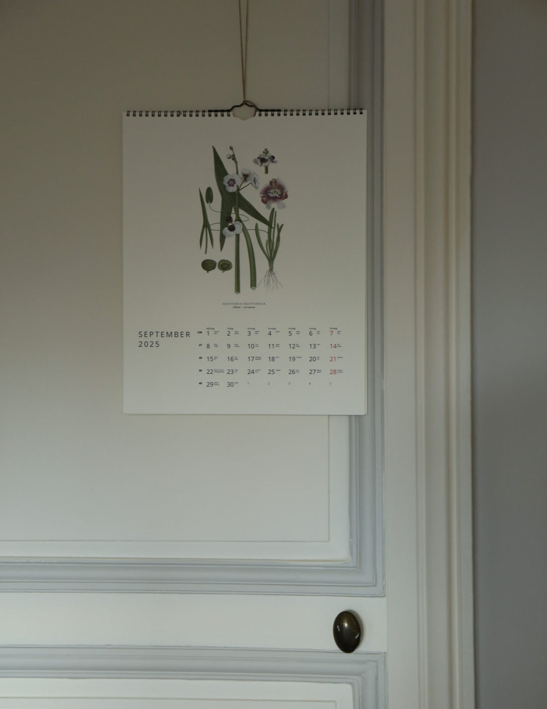 GULLERS TRADING |  VÄXTER CALENDAR 2025