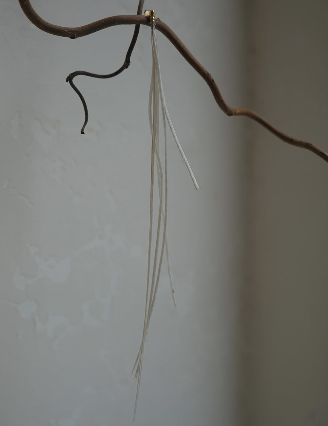 BEATRIZ PALACIOS | Feather Earring - White