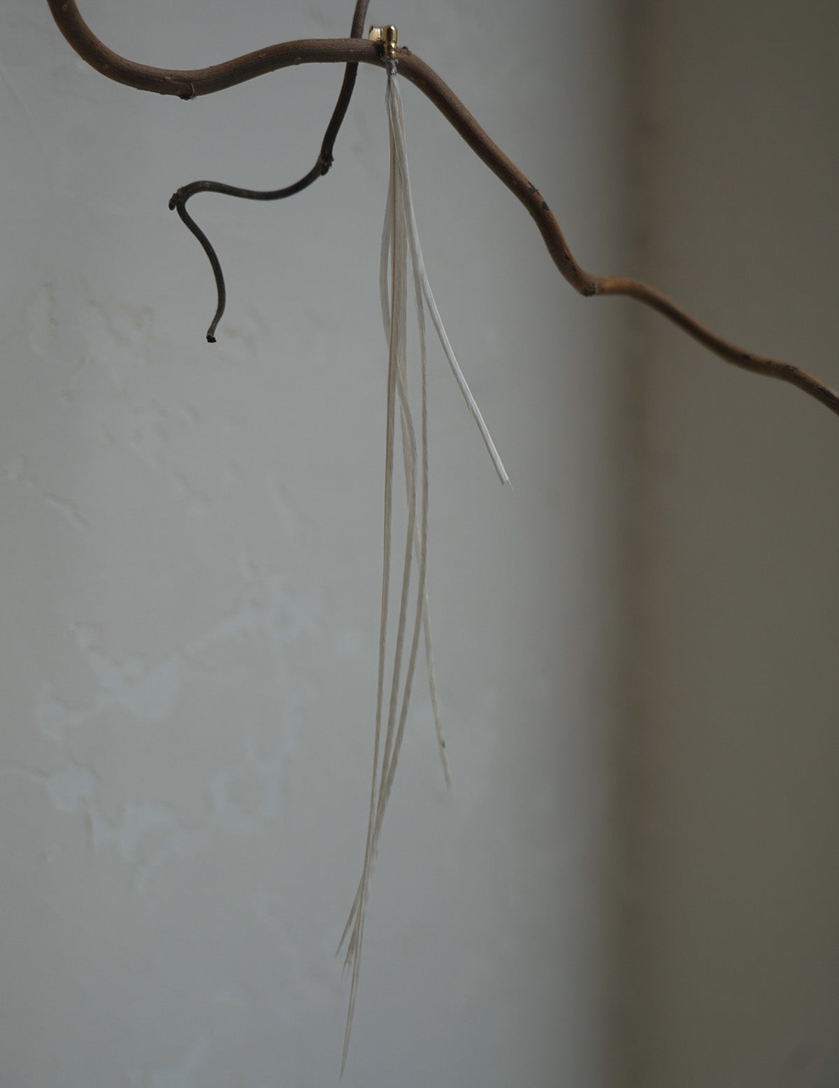 Feather Earring - White