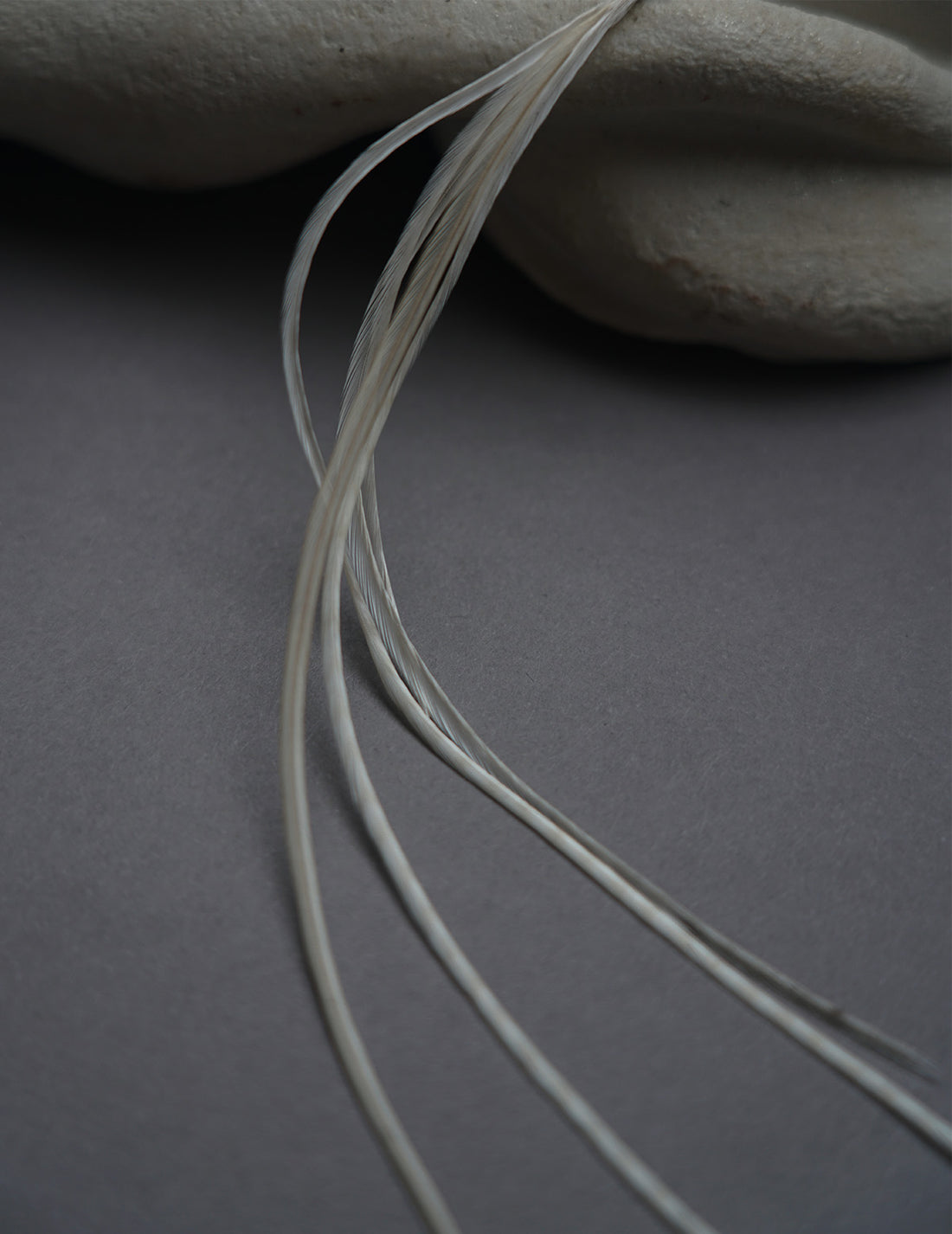 BEATRIZ PALACIOS | Feather Earring - White