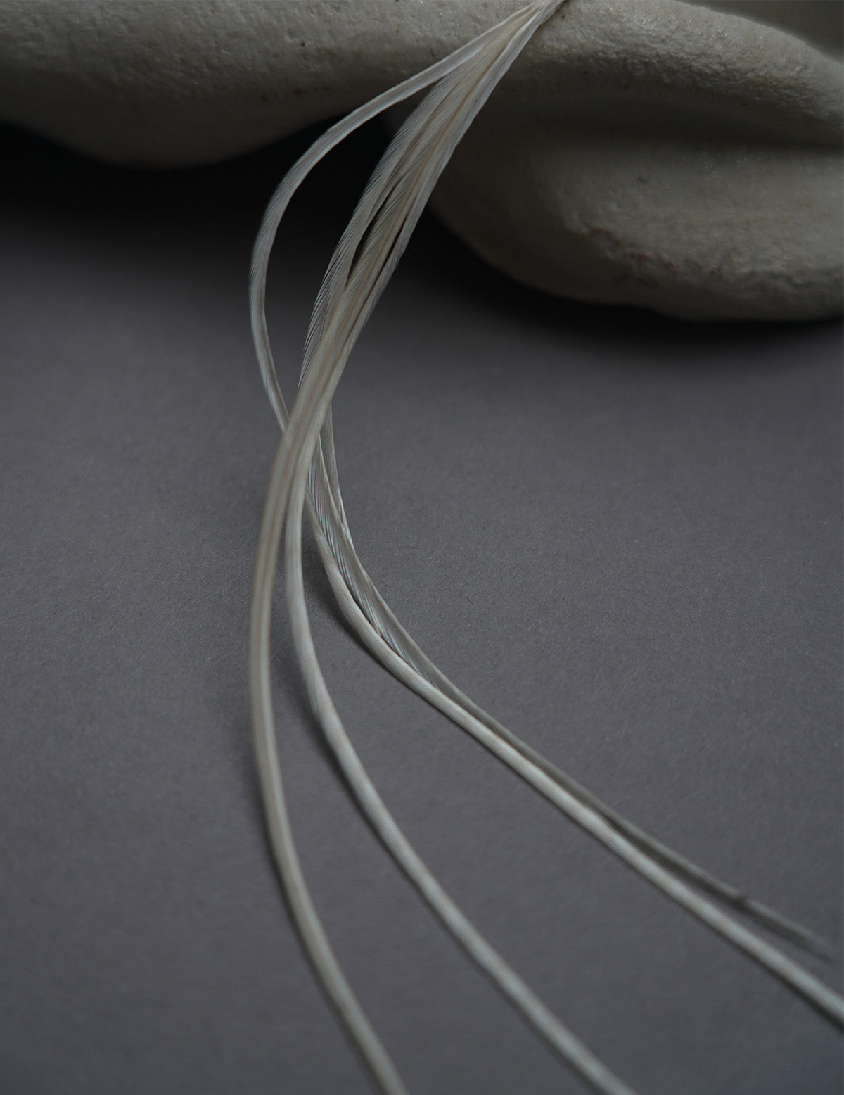 Feather Earring - White