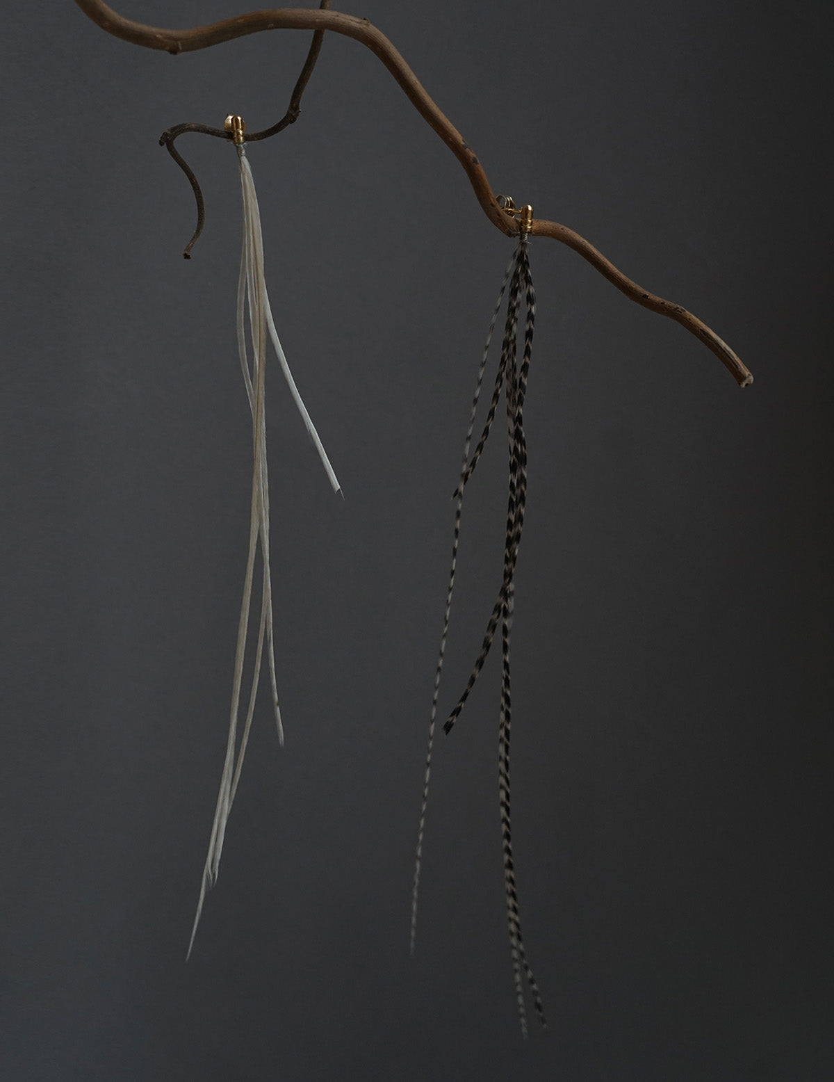 Feather Earring - White