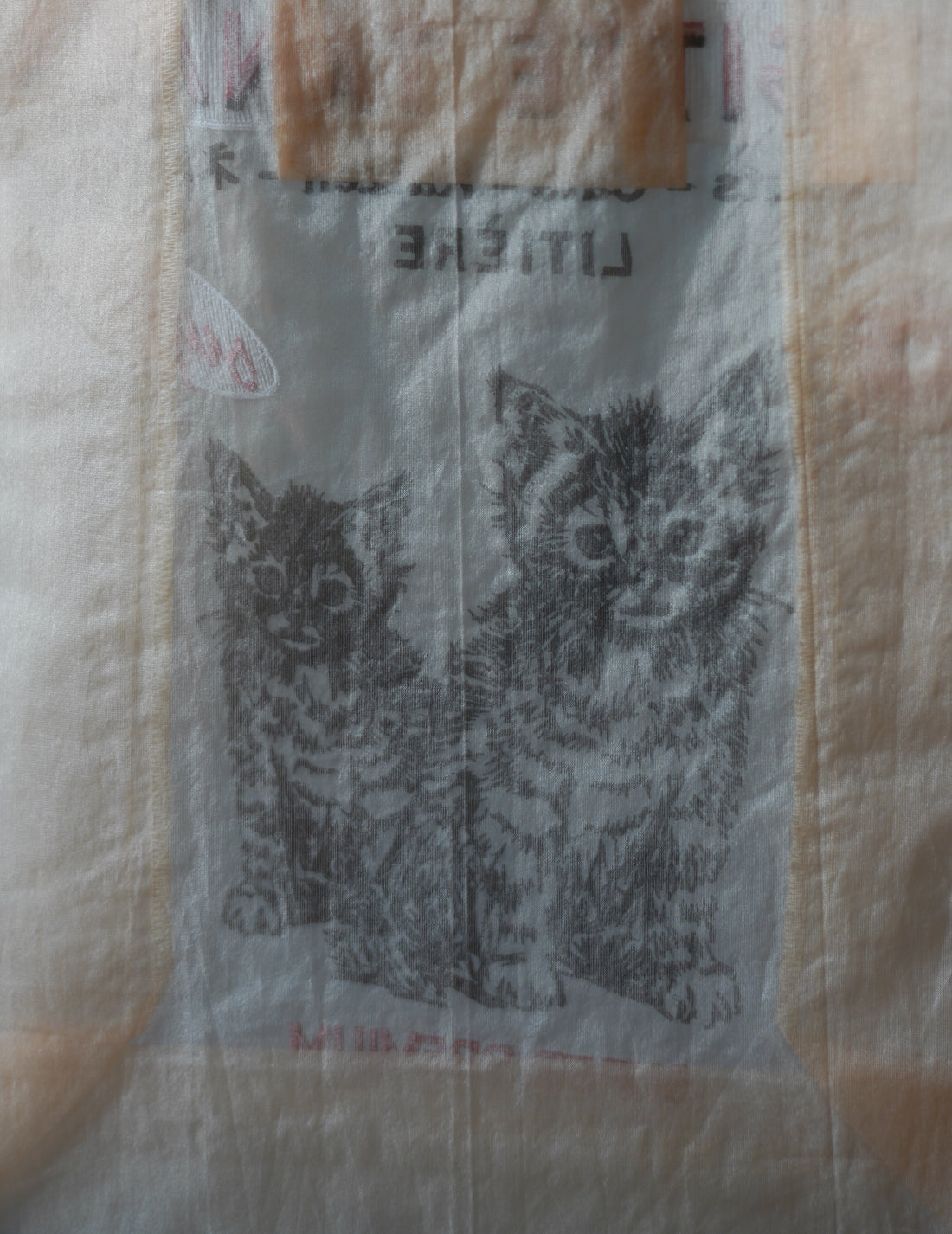 Brigitte Tanaka | Chat Peach Embroidered Organza Bag