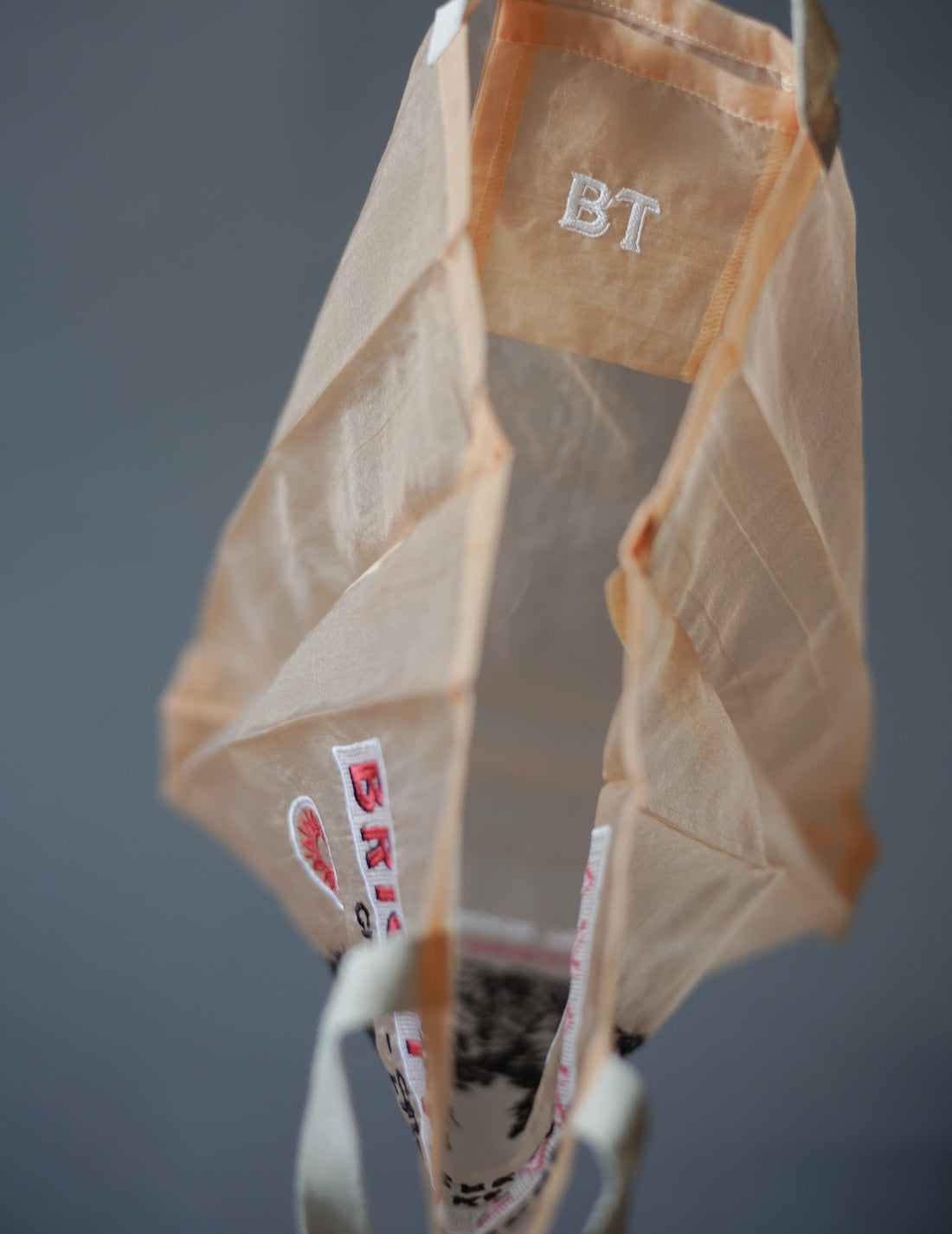 Brigitte Tanaka | Chat Peach Embroidered Organza Bag