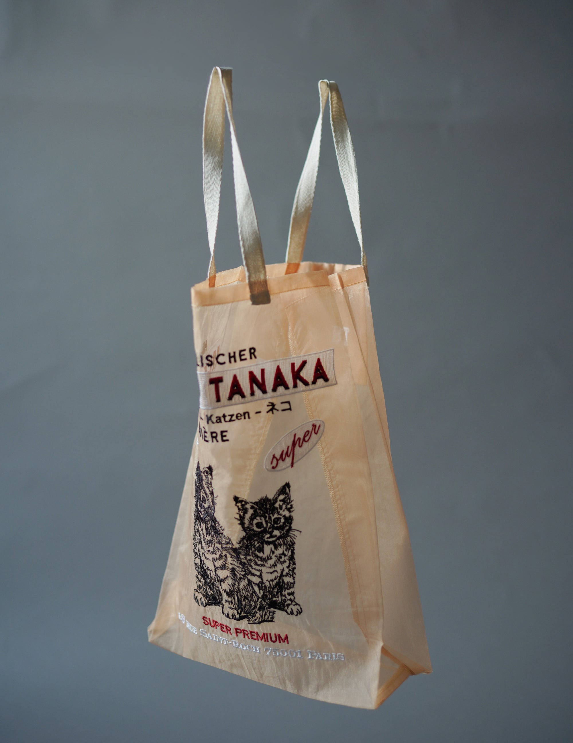 Chat Peach Embroidered Organza Bag