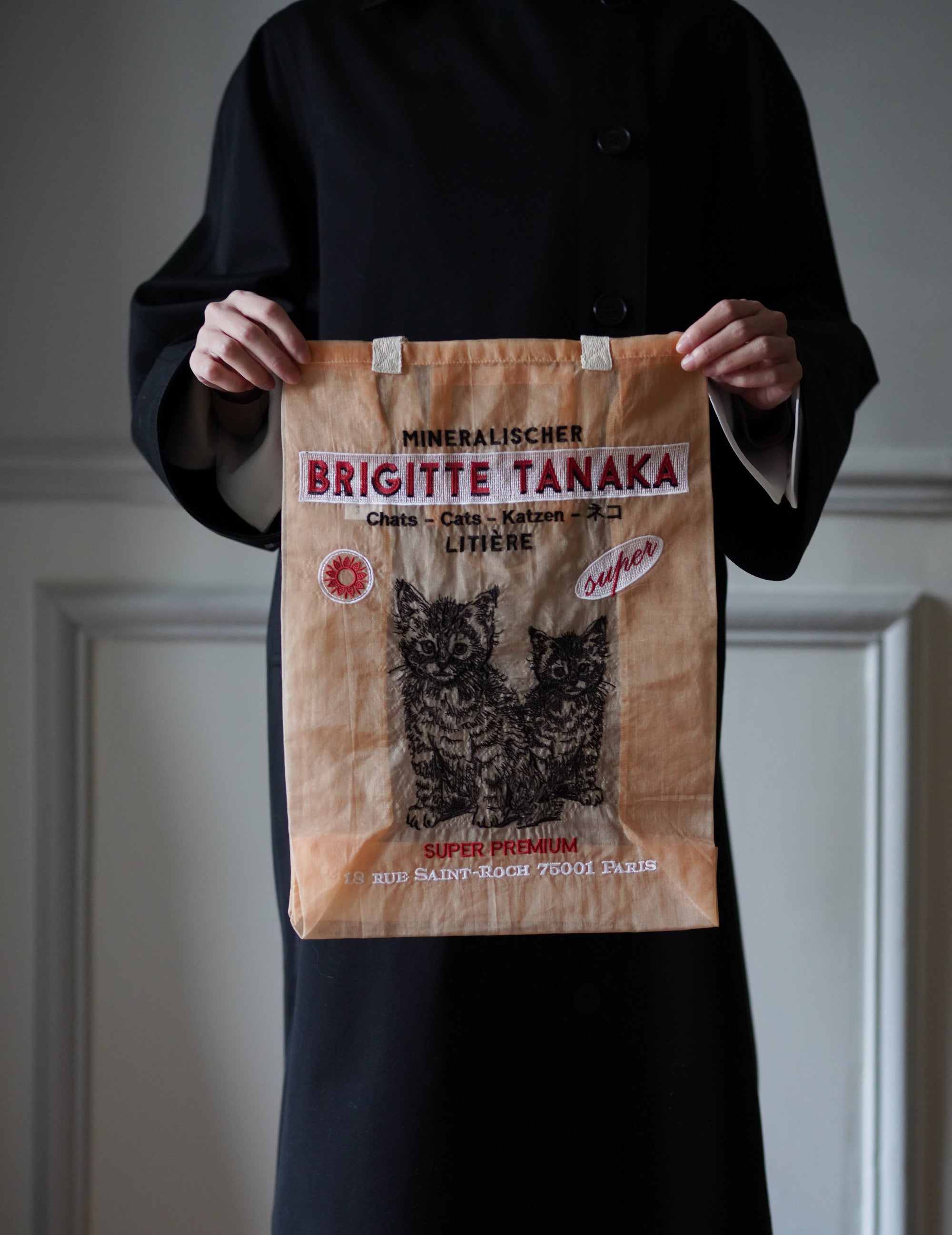 Chat Peach Embroidered Organza Bag