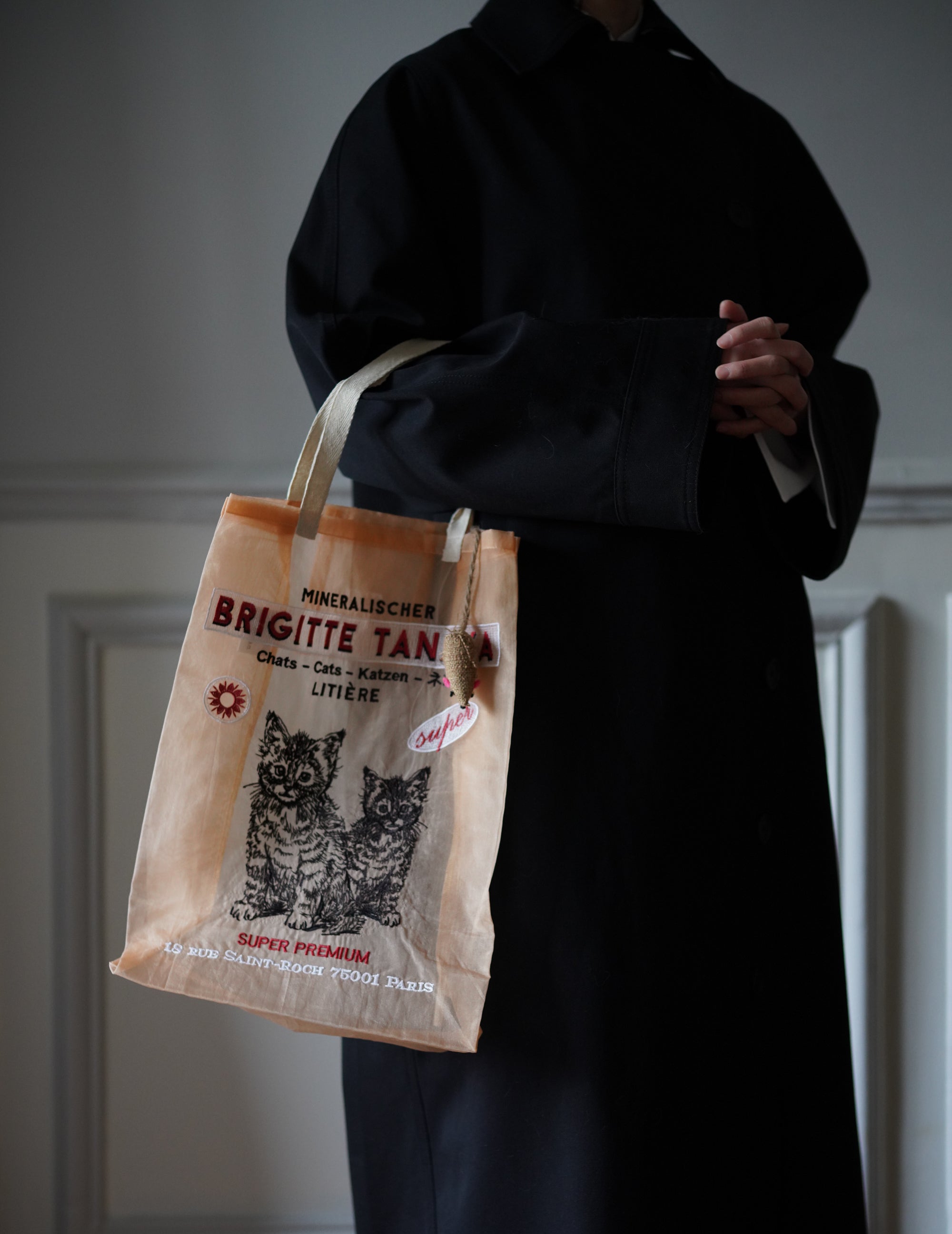 Chat Peach Embroidered Organza Bag