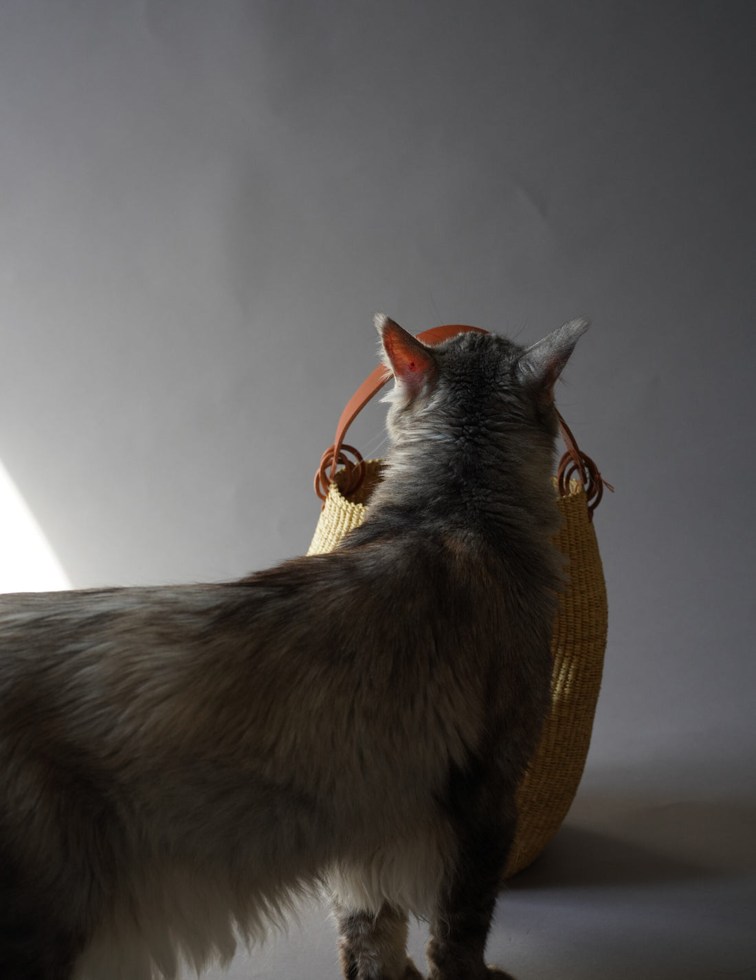 INES BRESSAND | Akamae Crumpled Woven Bag N.40・Brown