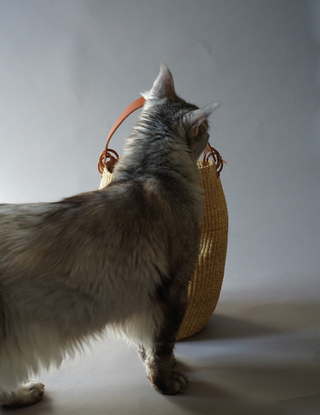 INES BRESSAND | Akamae Crumpled Woven Bag N.40・Brown