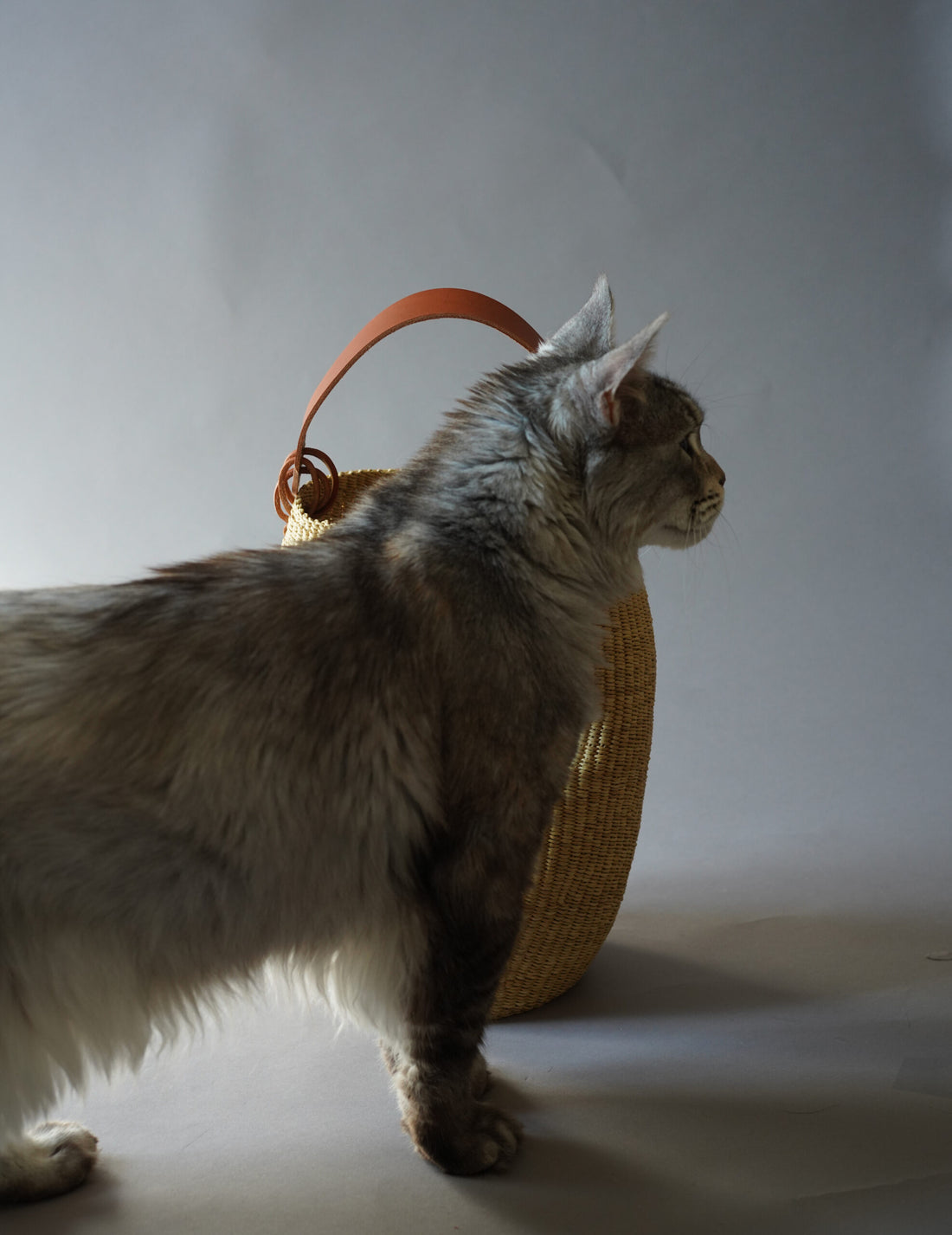 INES BRESSAND | Akamae Crumpled Woven Bag N.40・Brown