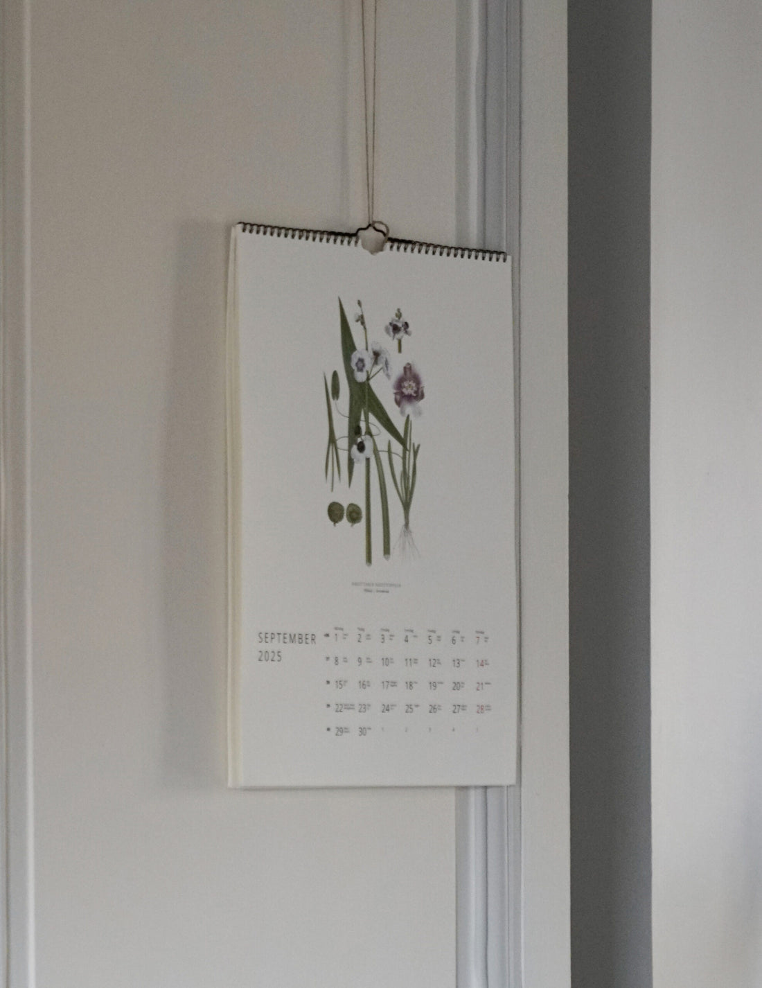 GULLERS TRADING |  VÄXTER CALENDAR 2025