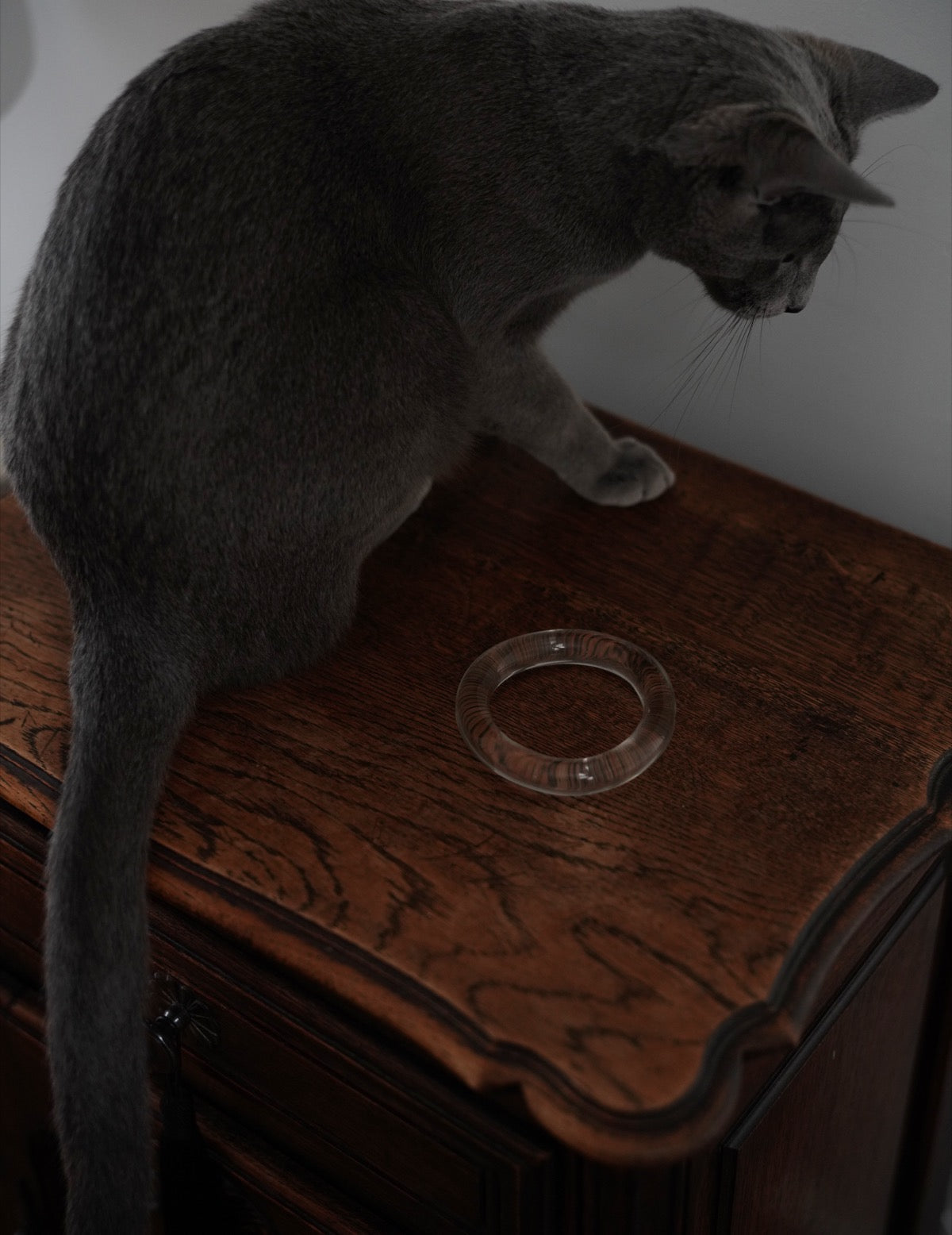 Glassy Tube Bangle・Clear