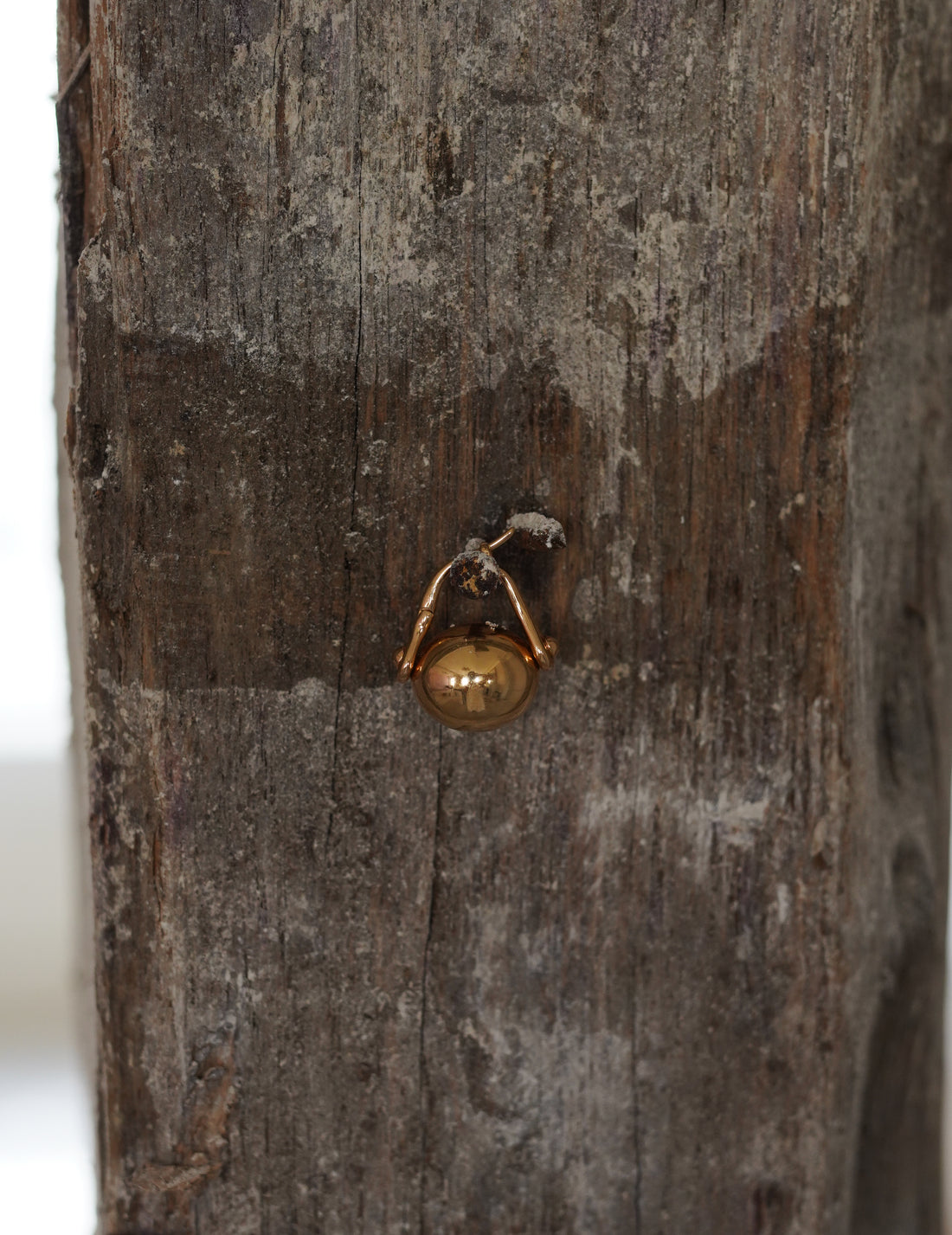 Annika Inez | Ellipse Earrings Gold - Gold