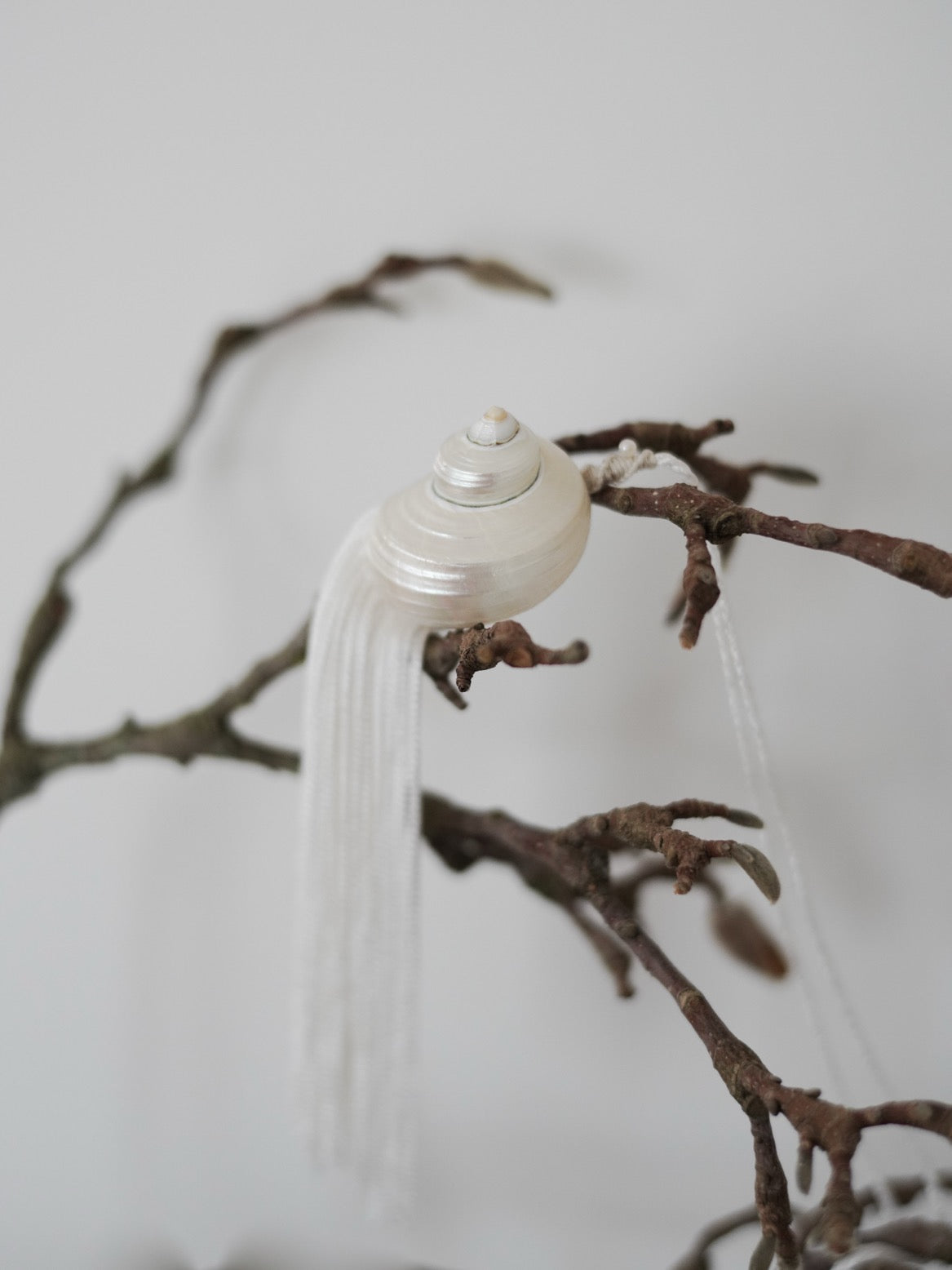 Bespoke Shell Tassel Necklace・White