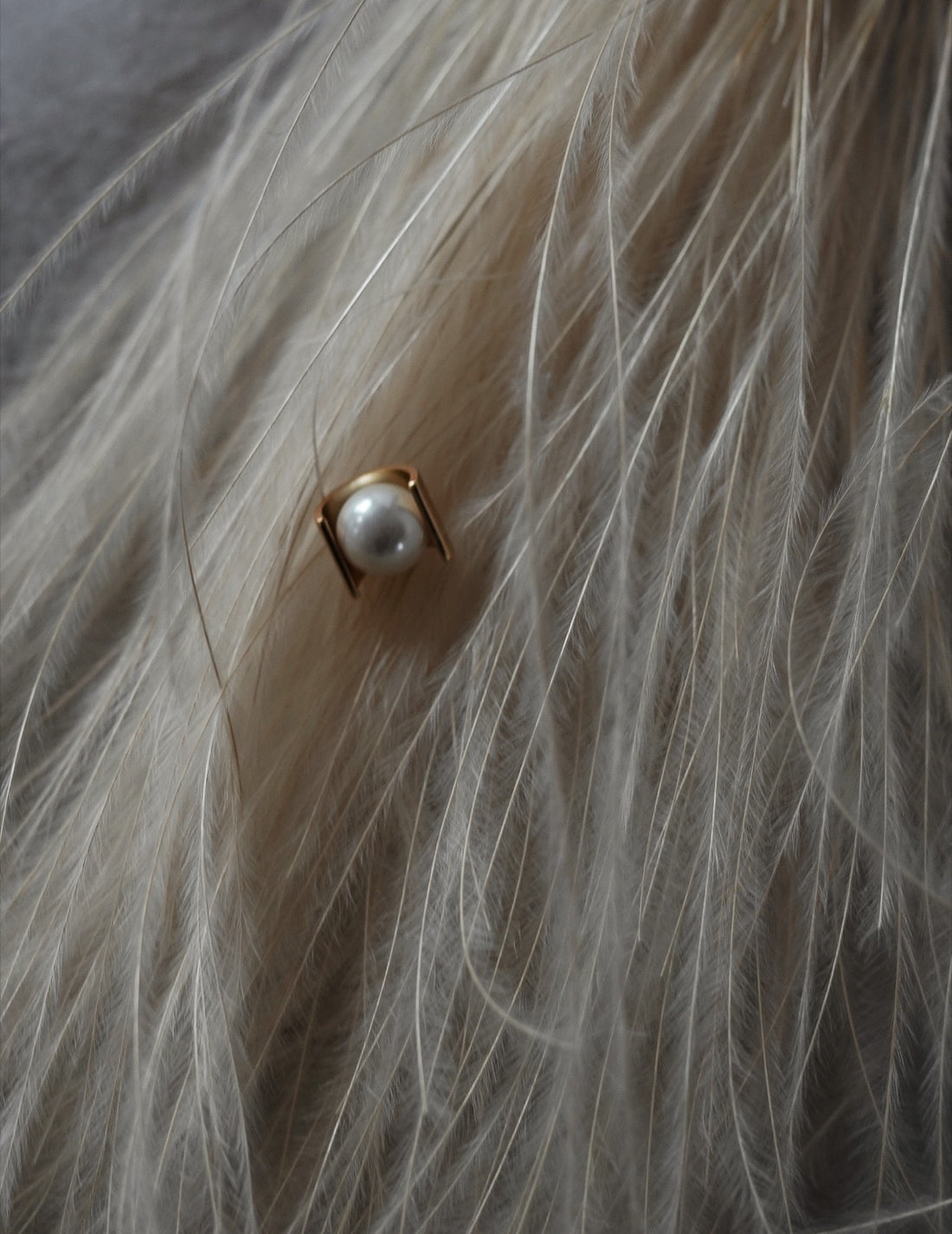 Jour Couture | owl.01 Earrings