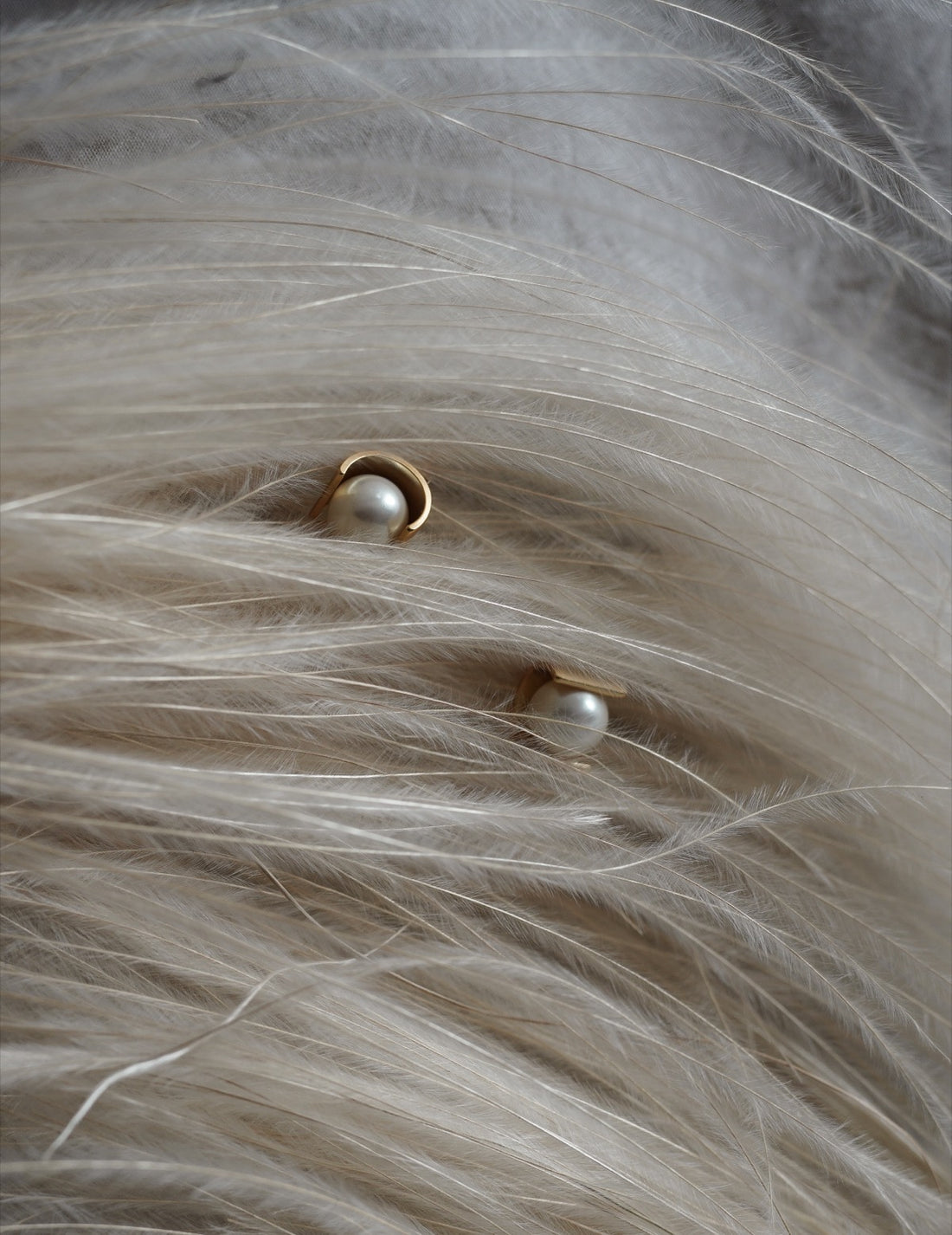 Jour Couture | owl.01 Earrings