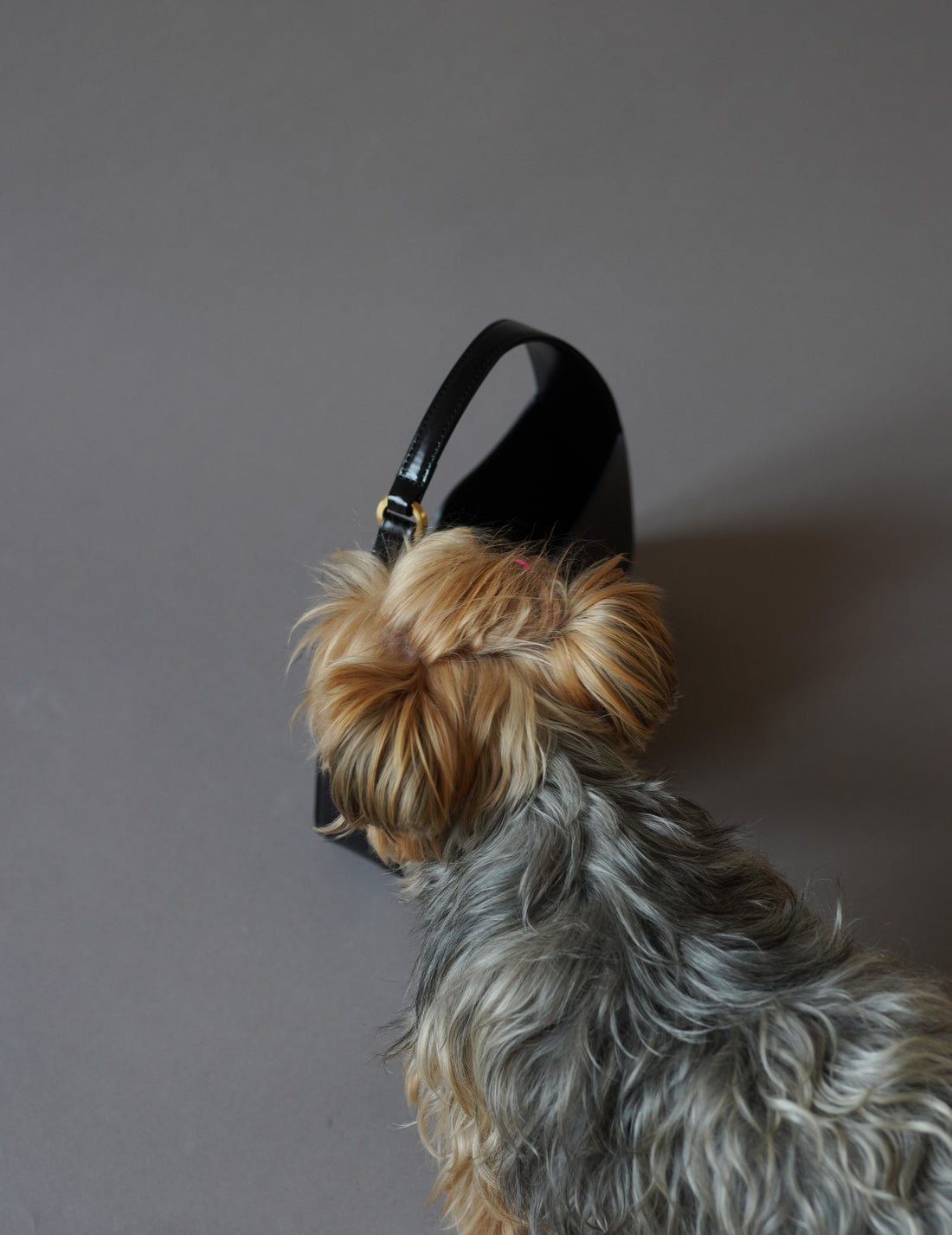 Mame Kurogouchi | Cow Leather Handbag · Black