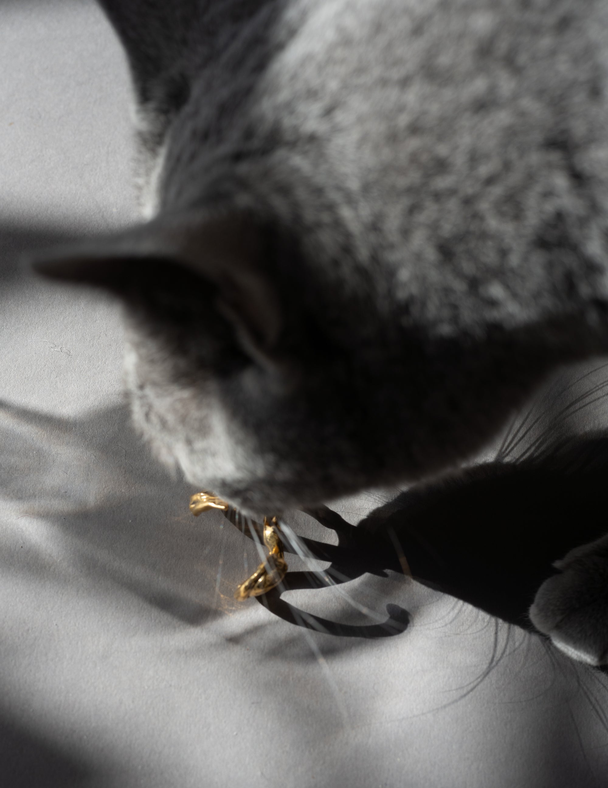 DRIP EARCRAWLER・Gold