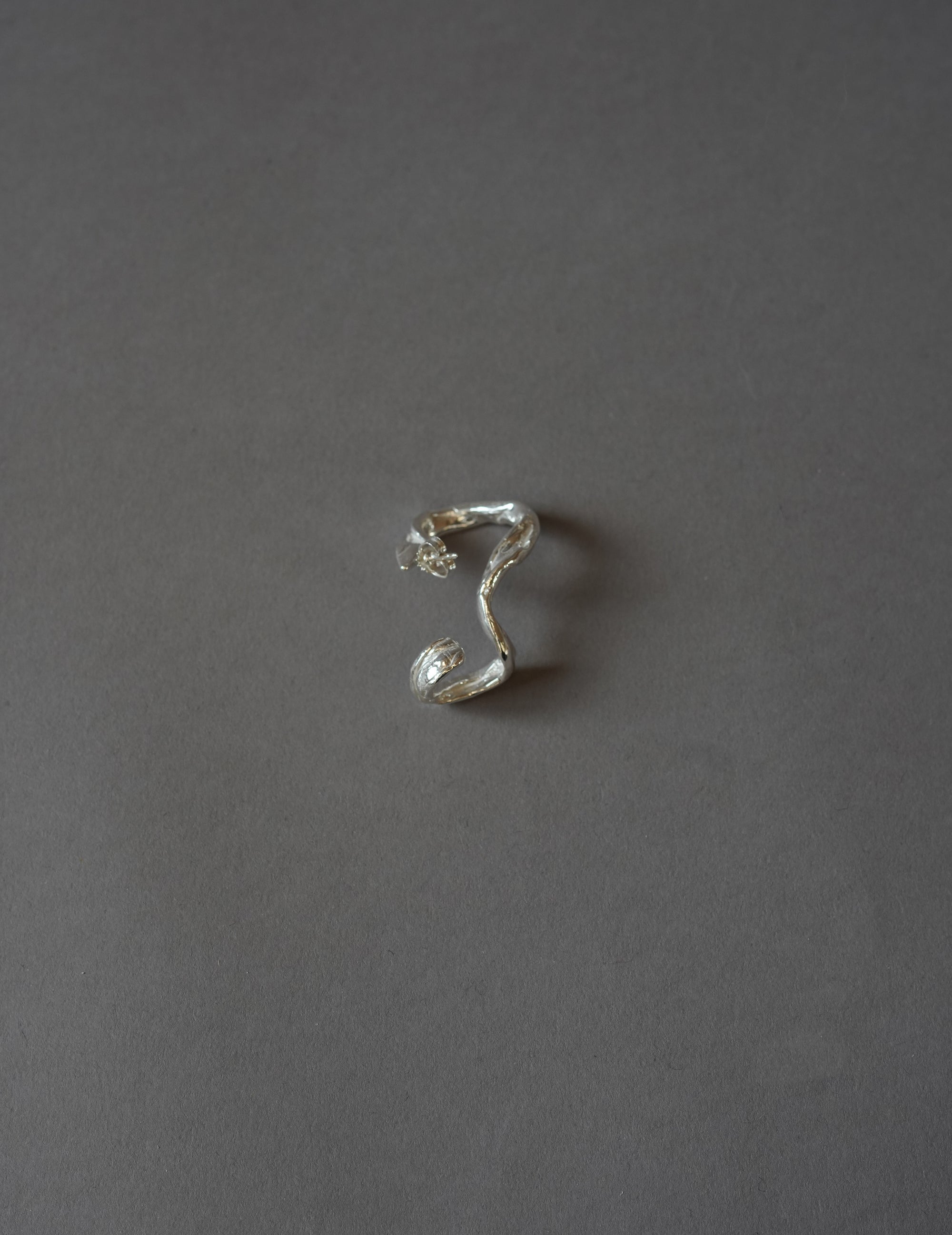 Vibe Harsløf｜DRIP EARCRAWLER・Silver