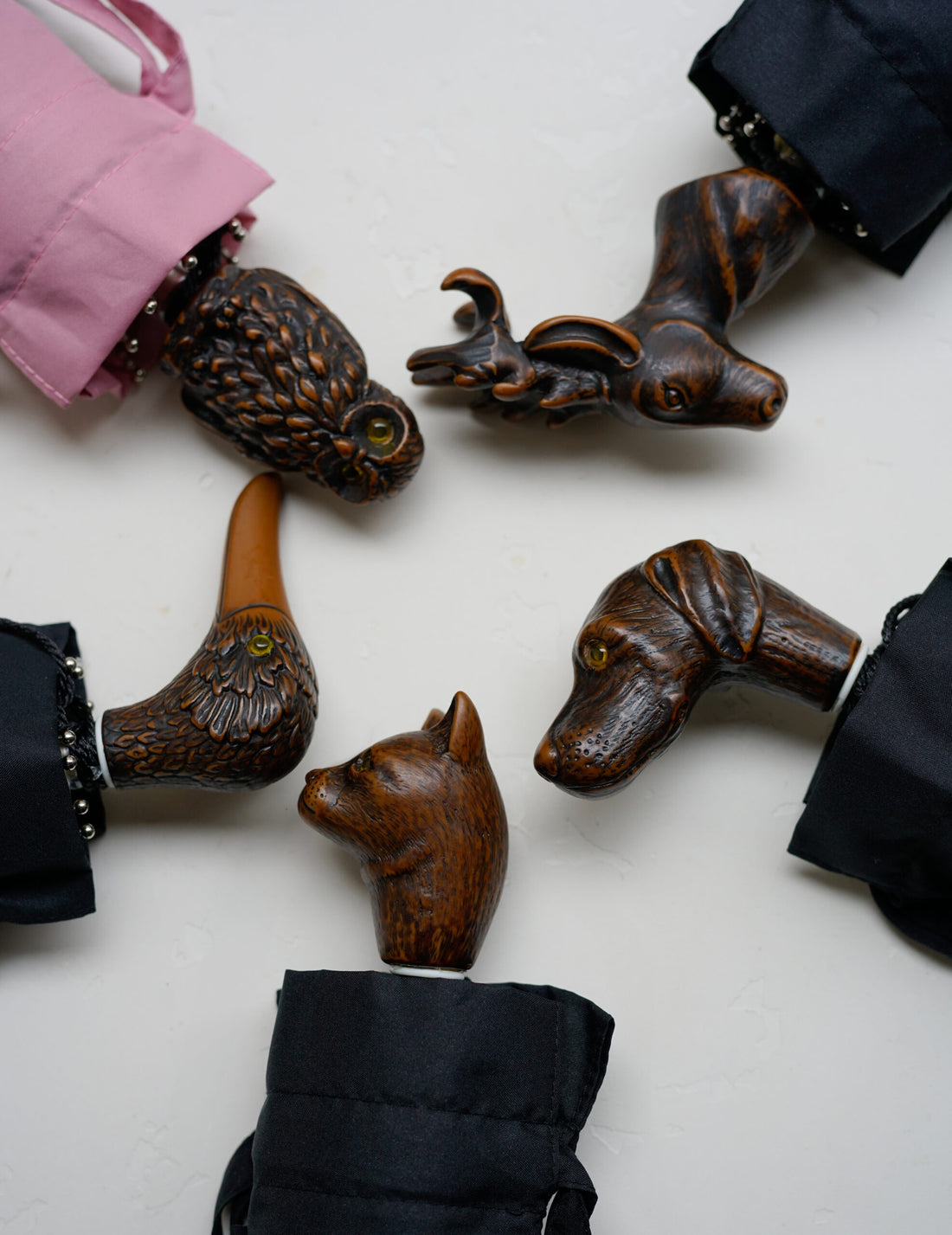 Parapluie pliant・Chat