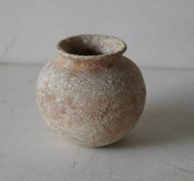 Akari Karugane - pot