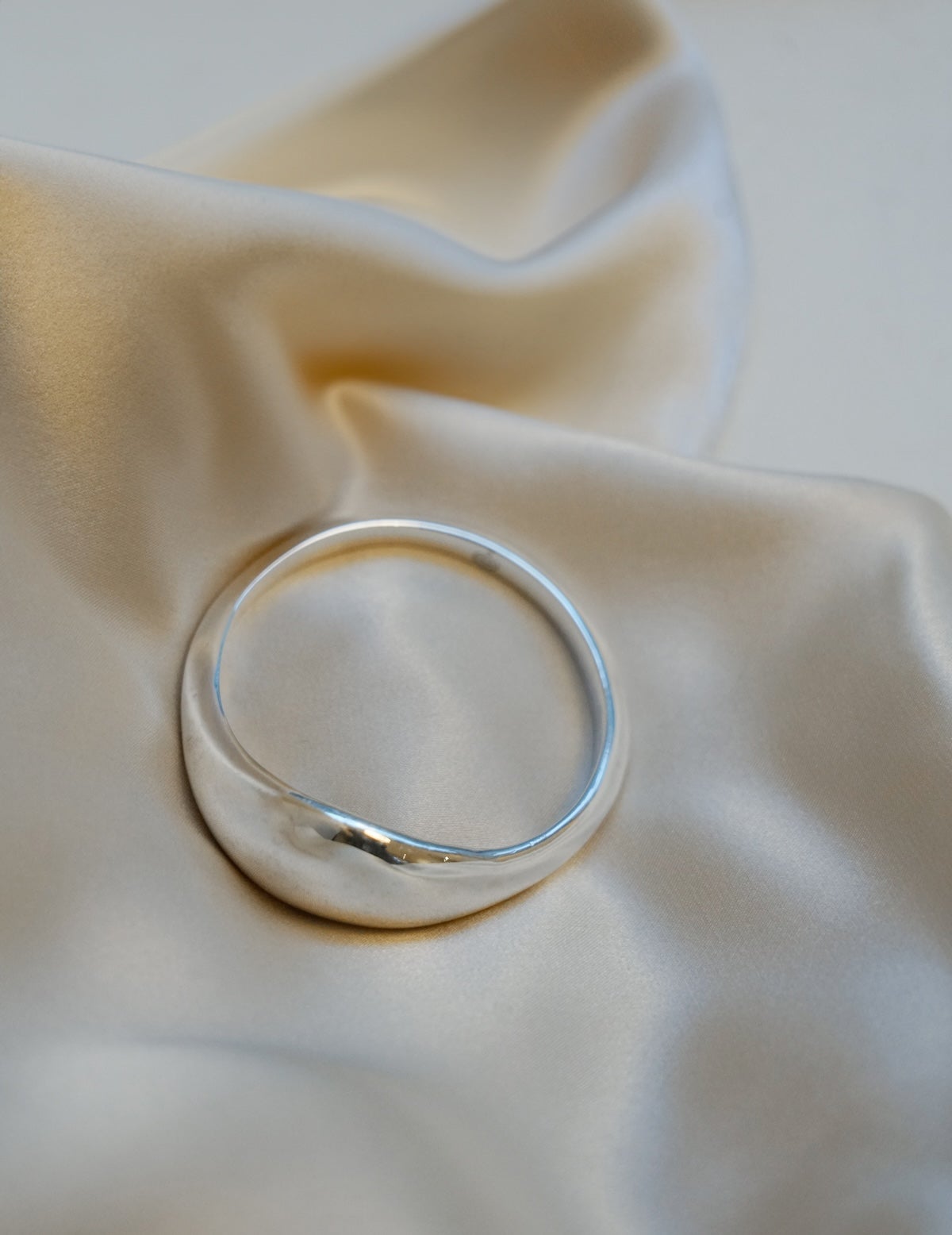 Delos Scarf Ring・Large