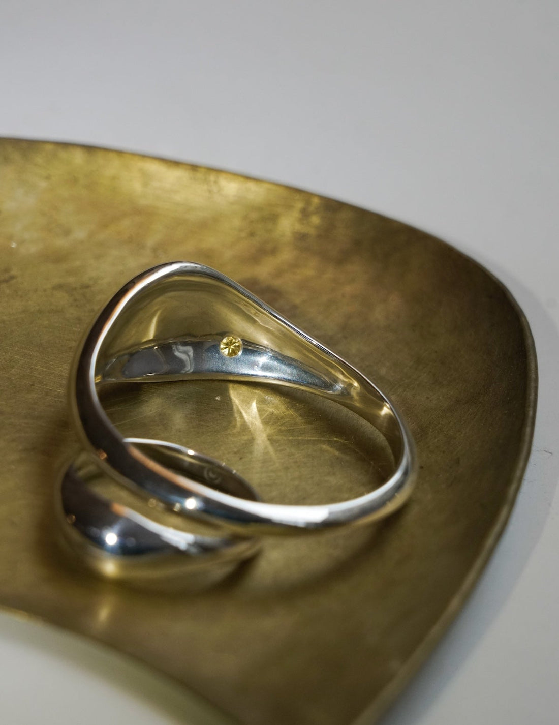 Delos Scarf Ring・Large